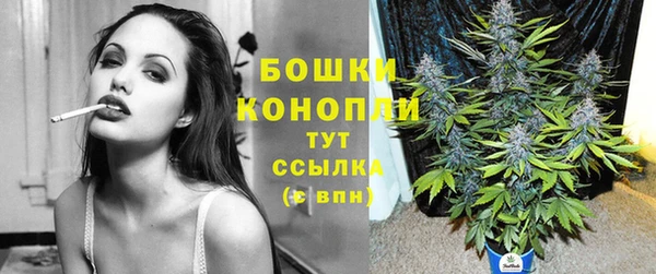 молекула духа Балабаново